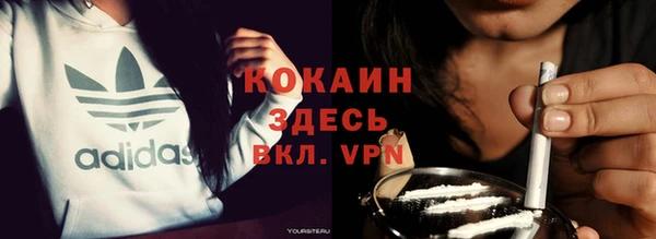прущие грибы Белоозёрский