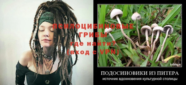 а пвп мука Беломорск