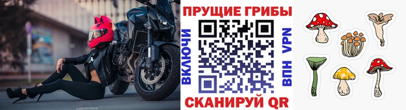 KRAKEN ССЫЛКА  Холмск  Галлюциногенные грибы Psilocybe  продажа наркотиков 